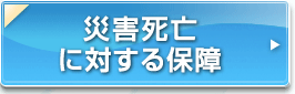 �ЊQ���S�ɑ΂���ۏ�