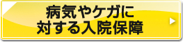 aCPKɑ΂@ۏ