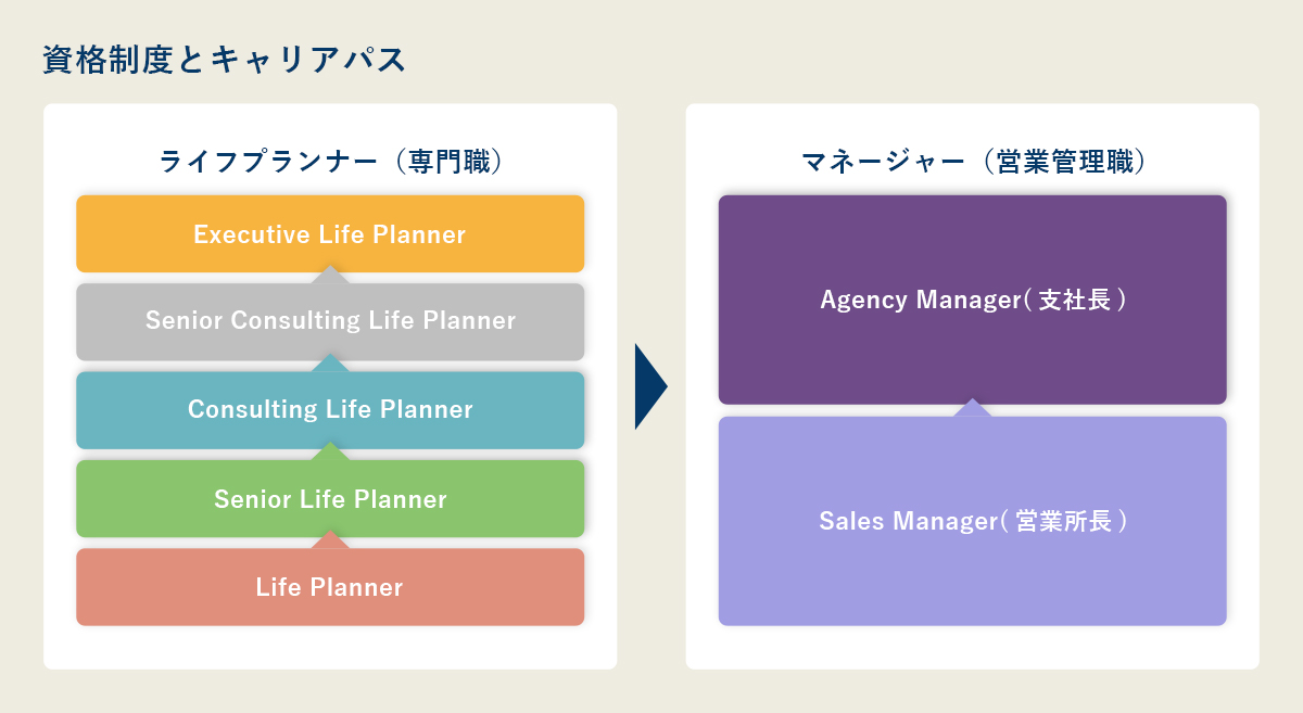 資格制度とキャリアパス ライフプランナー（専門職） Executive Senior Consulting Consulting Senior Life Planner マネージャー（営業管理職） Agency Manager Sales Manager