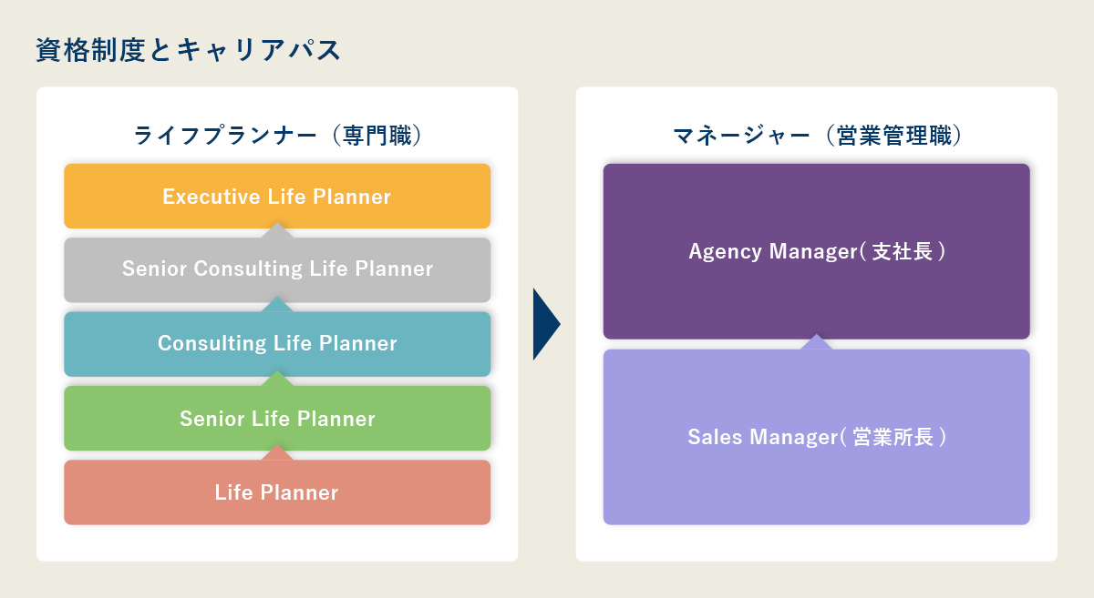 資格制度とキャリアパス ライフプランナー(専門職) Executive Senior Consulting Consulting Senior Life Planner マネージャー(営業管理職) Agency Manager Sales Manager