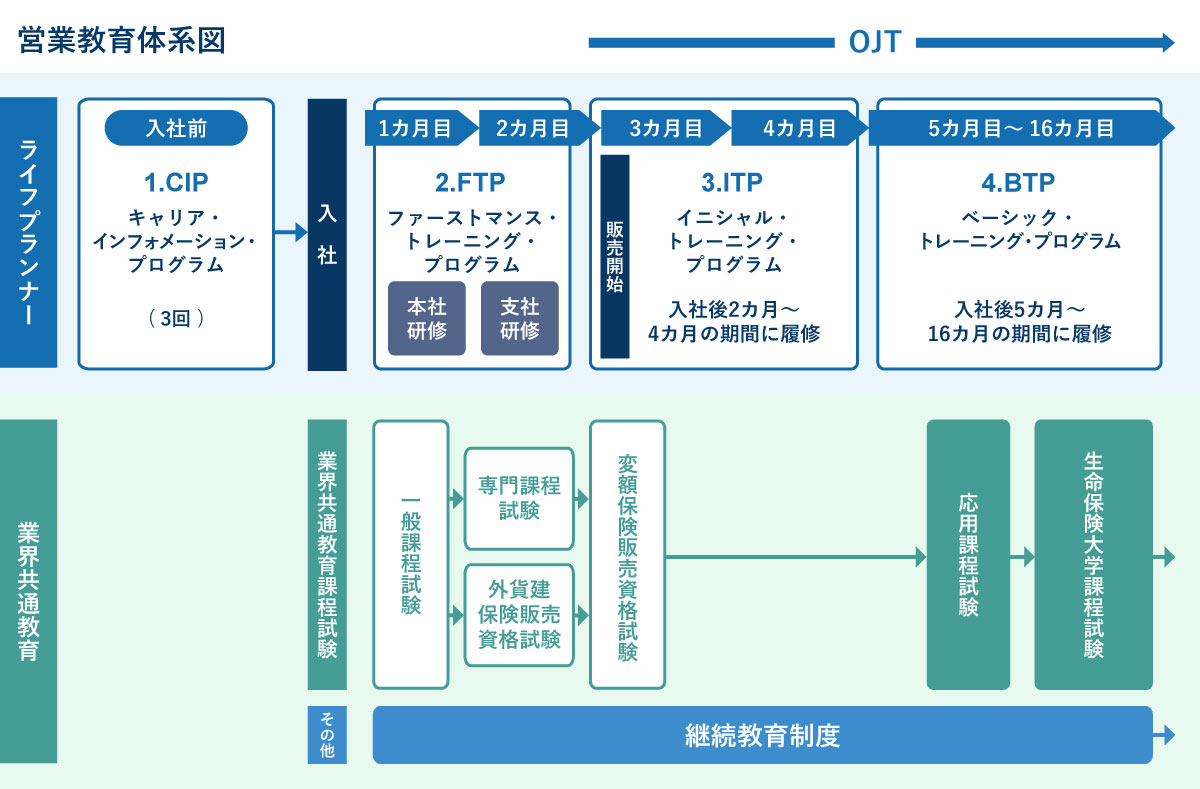 営業教育体系図